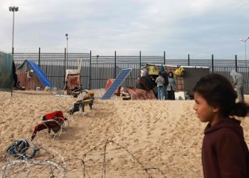 Egypt denies involvement in Gaza displacement plans (Credits: Daily Sabah)