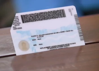Florida criminalises change sex on driver's licence (Credits: NBC 6 South Florida)