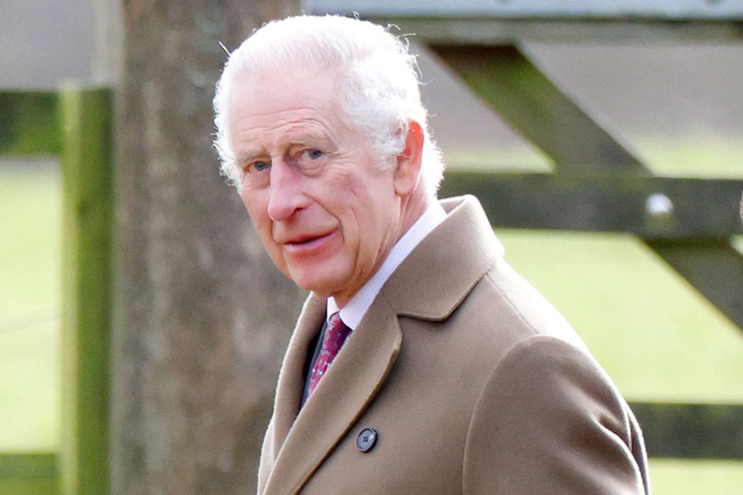 King Charles revealed to have a cancer post prostate treatment (Credits: People)