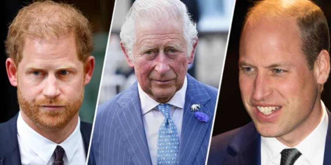 King Charles wishes his sons (Prince Harry and Prince William) to reconcile (Credit: Fox News)