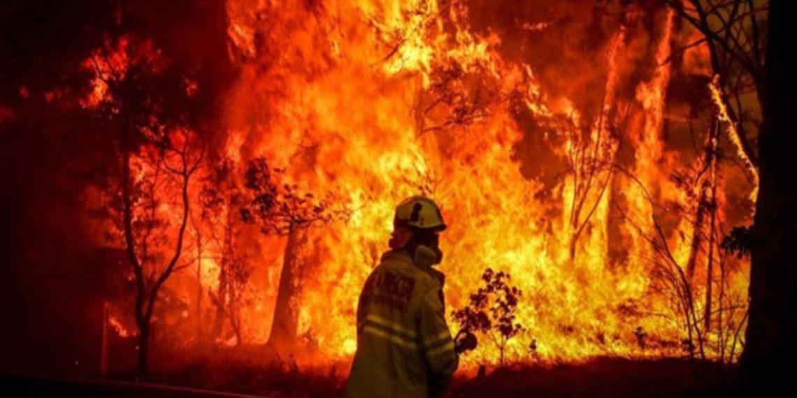A catastrophic bushfire in Australia led many people to flee from their houses (Credit: YouTube)