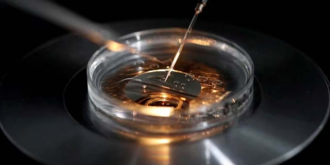 A medical laboratory technologist operates an embryo vitrification during an ICSI process (Credit: Reuters)