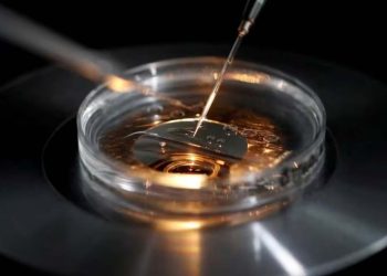 A medical laboratory technologist operates an embryo vitrification during an ICSI process (Credit: Reuters)