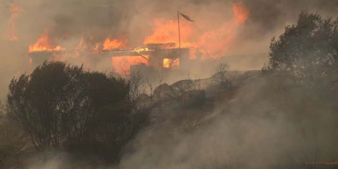 Tragedy Unfolds: Chile Grapples With Deadliest Forest Fires Since 2010 Earthquake