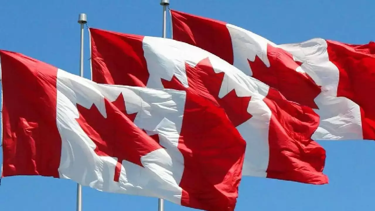 Canada halts arms export permits to Israel (Credits: Times of India)