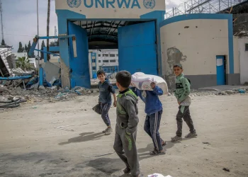 Shortage of trucks hampers efforts to deliver essential aid in Gaza (Credits: Al Jazeera)