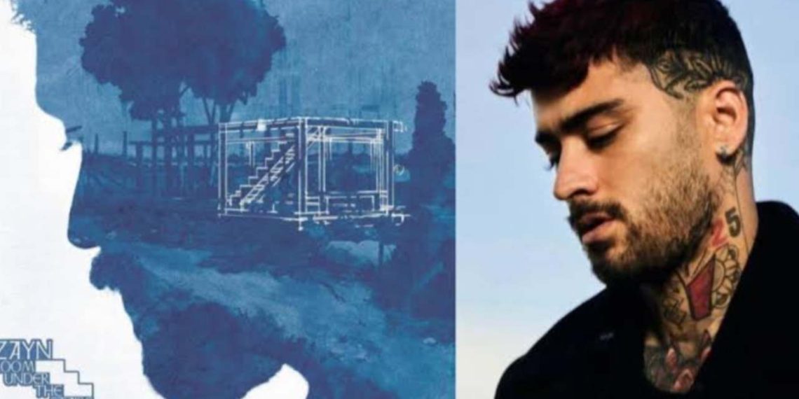 Zayn Malik is back with his new musical work (Credit: YouTube)