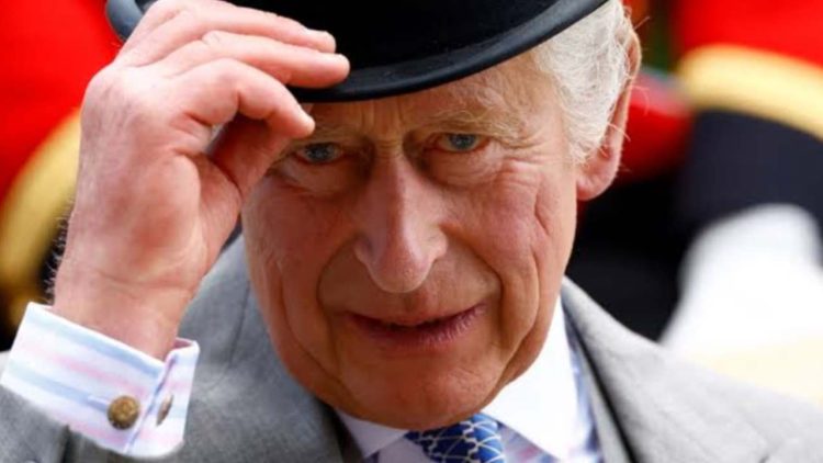 King Charles III (Credit: X)