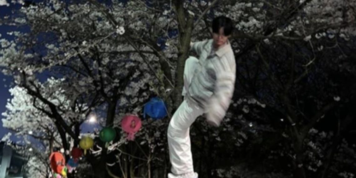 Actor Choi Sung-Joo was criticized for climbing cherry blossom tree.