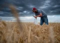 Farmers struggle to break even amid declining farm incomes (Credits: The Colorado Sun)