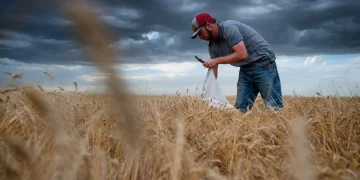 Farmers struggle to break even amid declining farm incomes (Credits: The Colorado Sun)