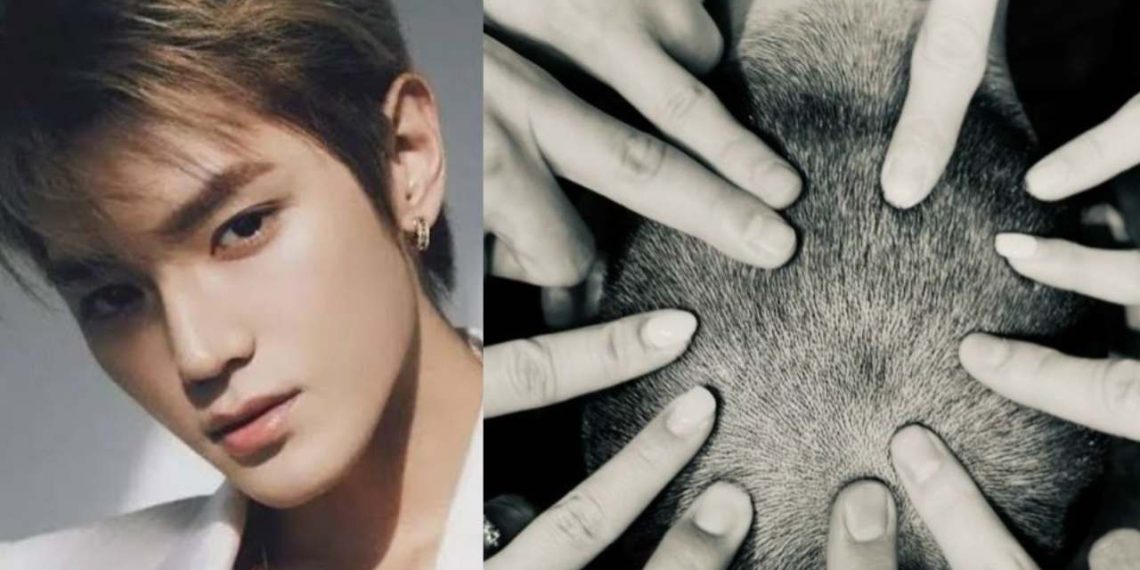 Taeyong and others putting fingers on his shaved head, done for his military service