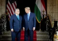 Orban's endorsement of Trump's presidency reflects their aligned ideologies (Credits: AFP)