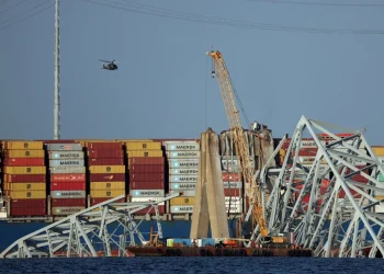 Port of Baltimore works to restore shipping routes post-collapse (Credits: AFP)