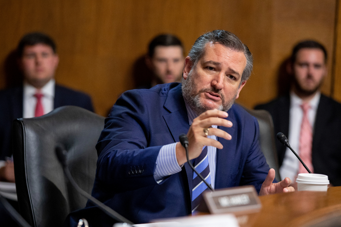 Republican Senator Cruz criticizes potential Senate procedural maneuvers (Credits: Politico)