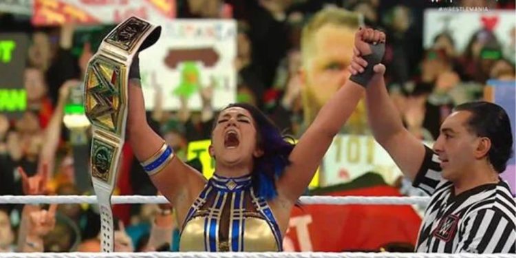 From Rookie to WWE Superstar Bayley’s WWE Lifestyle — OtakuKart