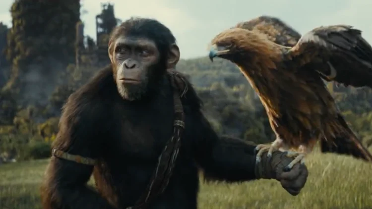 Kingdom of the Planet of the Apes (credits IMDb)