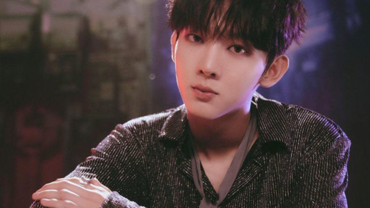 Celebrity panelists found the duet performance to be final-round-worthy