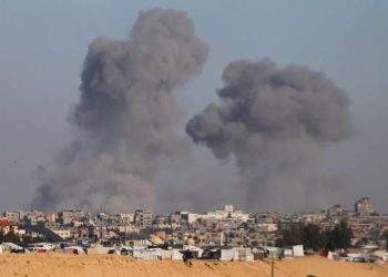 Israeli assault on Gaza has resulted in significant casualties and destruction
