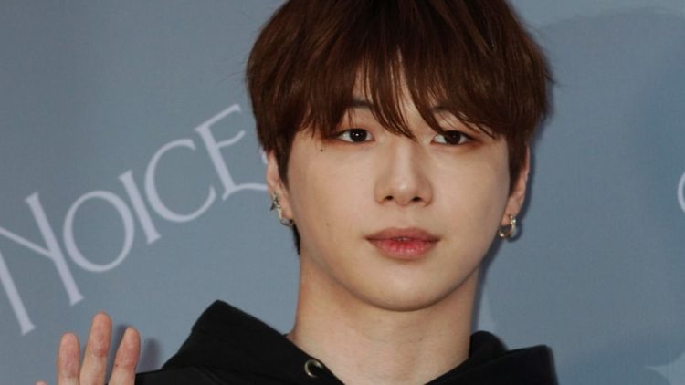 Kang Daniel's journey from Produce 101 victor to solo artist forgotten