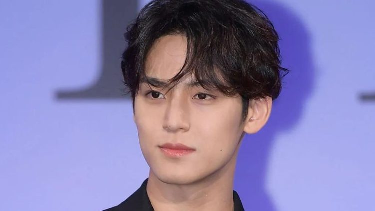 Mingyu's playful post-performance antics resonate widely on social media