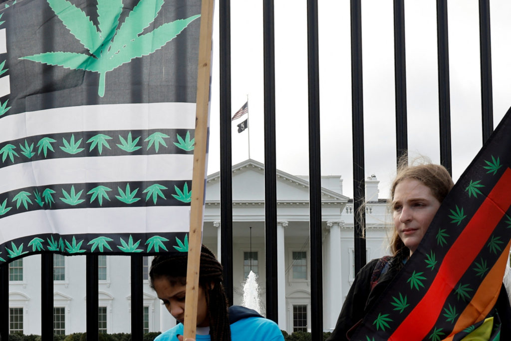 Policy shift could bridge gap between state and federal cannabis laws (Credits: Reuters)