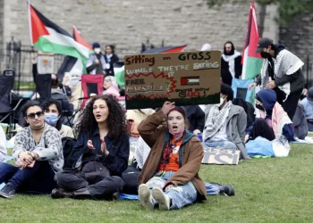 Pro-Palestinian encampments spark debate over freedom of expression on campuses (Credits: AP Photo)