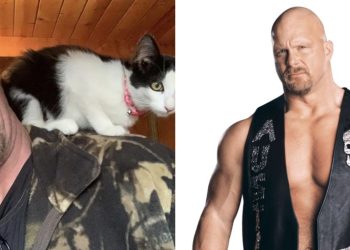 Steve Austin With His Cat