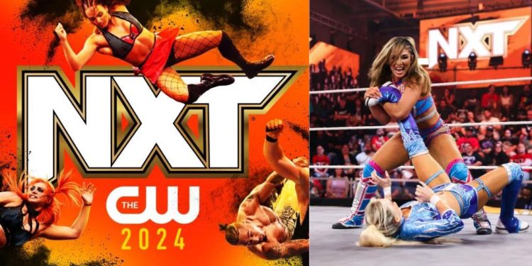 The WWE NXT CW 2024
