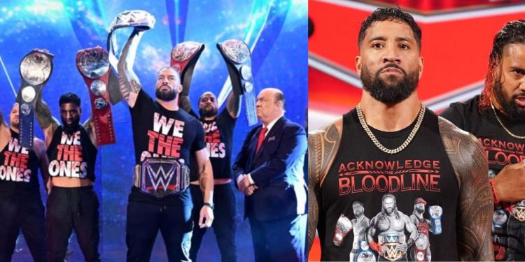 The Bloodline Family At The WWE Smackdown