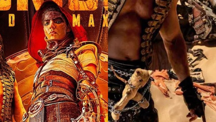 Furiosa: A Mad Max Saga (Left), The Teddy Bear worn by Hemsworth (Right)