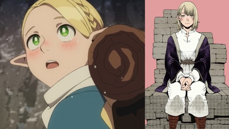 Marcille from "Delicious In Dungeon" (Left), Falin Touden from "Delicious In Dungeon" Manga (Right)