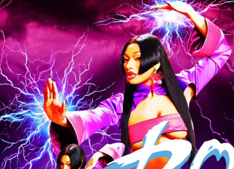 Megan Thee Stallion as Boa Hancock (Credits: Twitter)