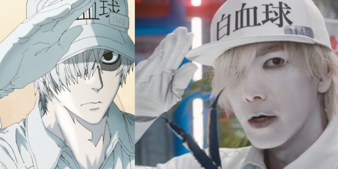 White Blood Cell from the 'Cells At Work!' Anime (Left) and Live-Action (Right) (David Production)