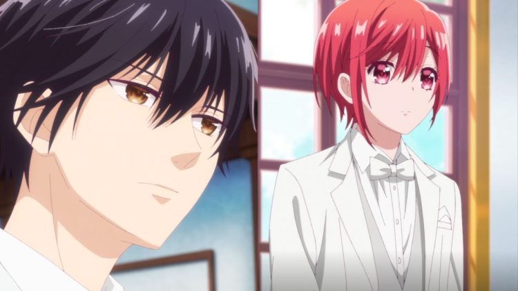 Vampire Dormitory: Should Fans Hope for a Season 2?