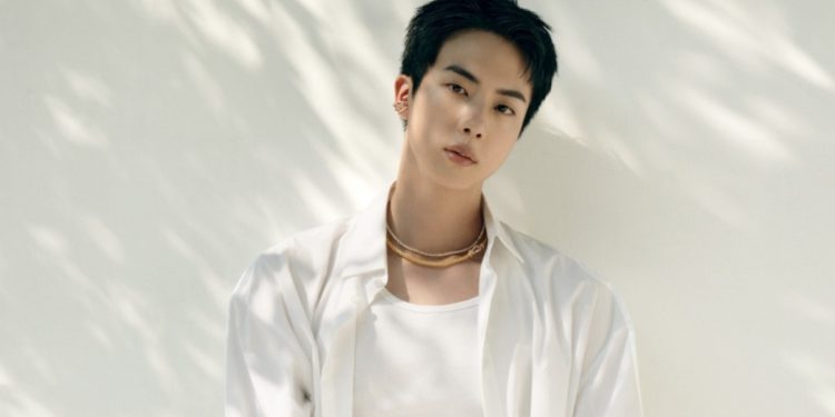 BTS's Jin as FRED ambassador.