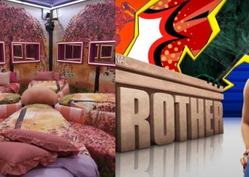 Big Brother Fans Upset About Potential Live Feed Delay for Season 26