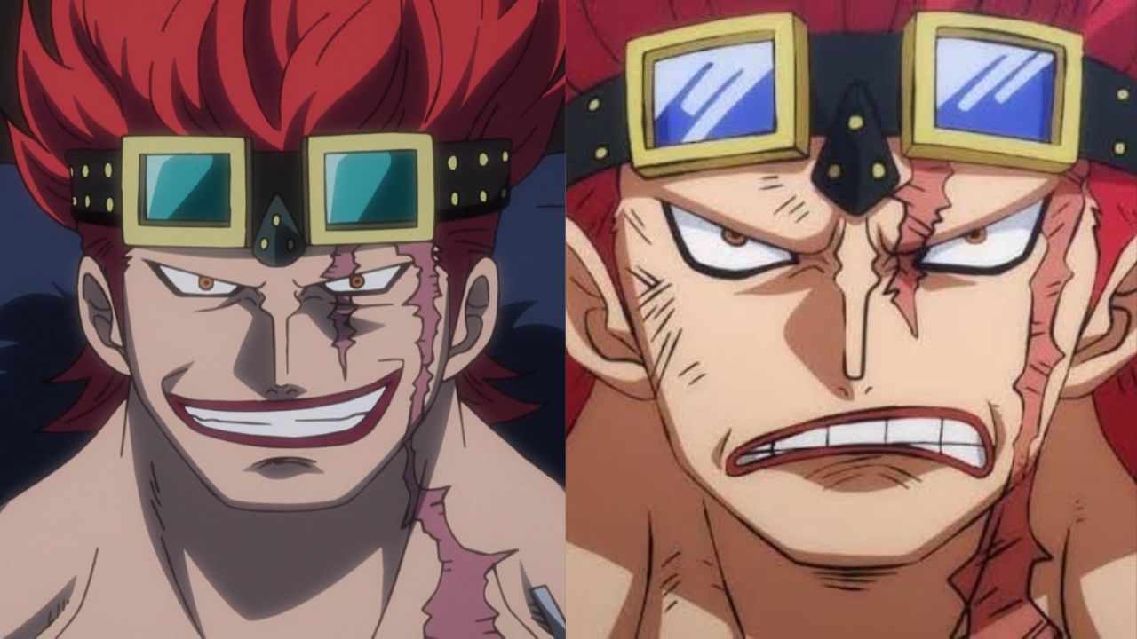 The Impact of Scars on One Piece Characters (1)