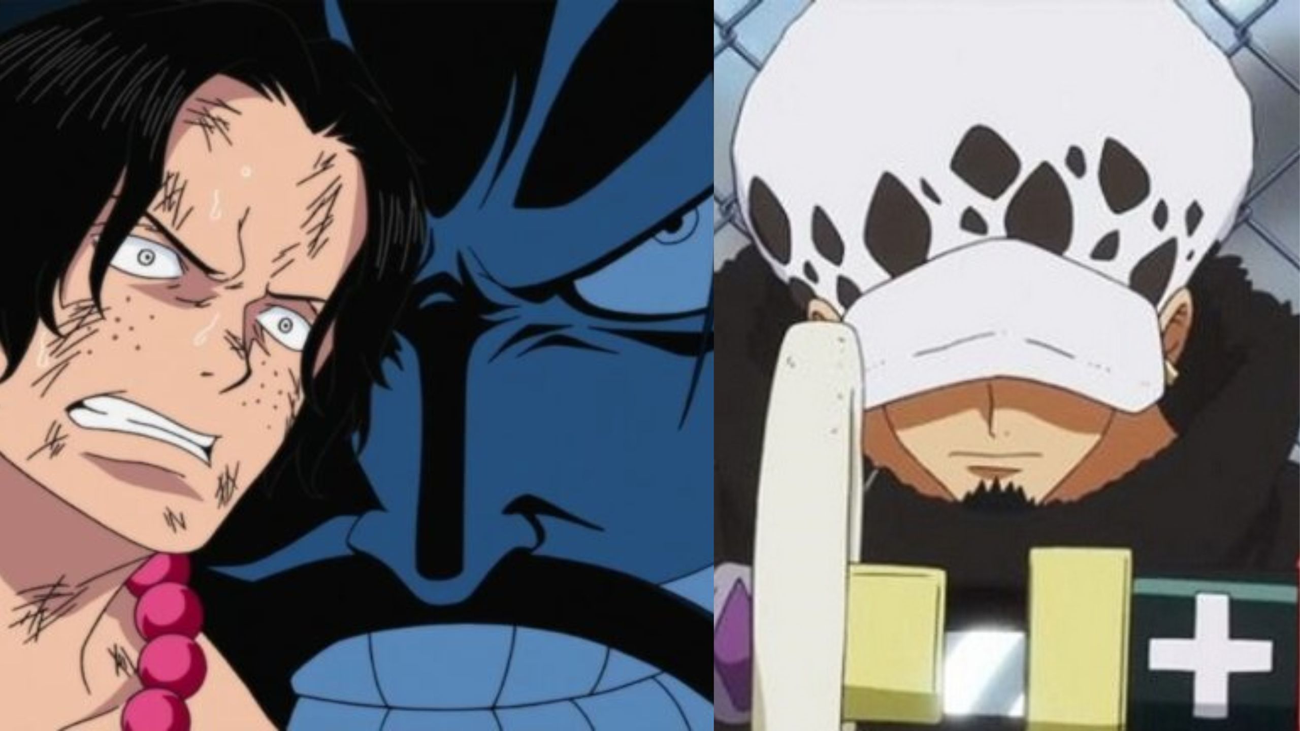 Shocking One Piece Spoilers Reveal Joy Boy as a D. Clan Member Sharing an Ancestral Bond with Luffy