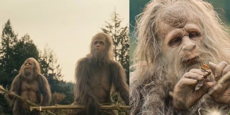 Still from Sasquatch Sunset (Credit: Paramount+)