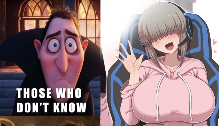 Gamingmeme from Overlooked Rising Female Protagonists in Recent Anime