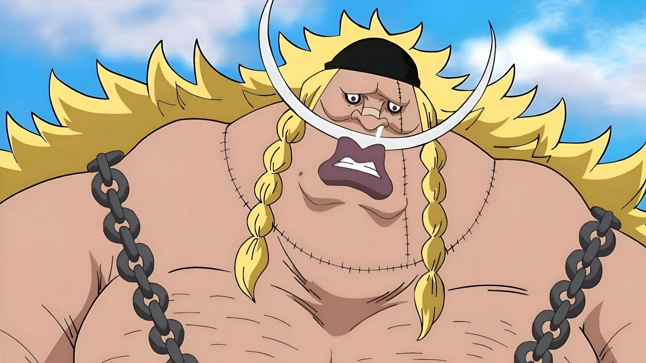 One Piece Vivre Card Hints Queen Could Be Franky's Father, Sparking Major Fan Theories and Speculations