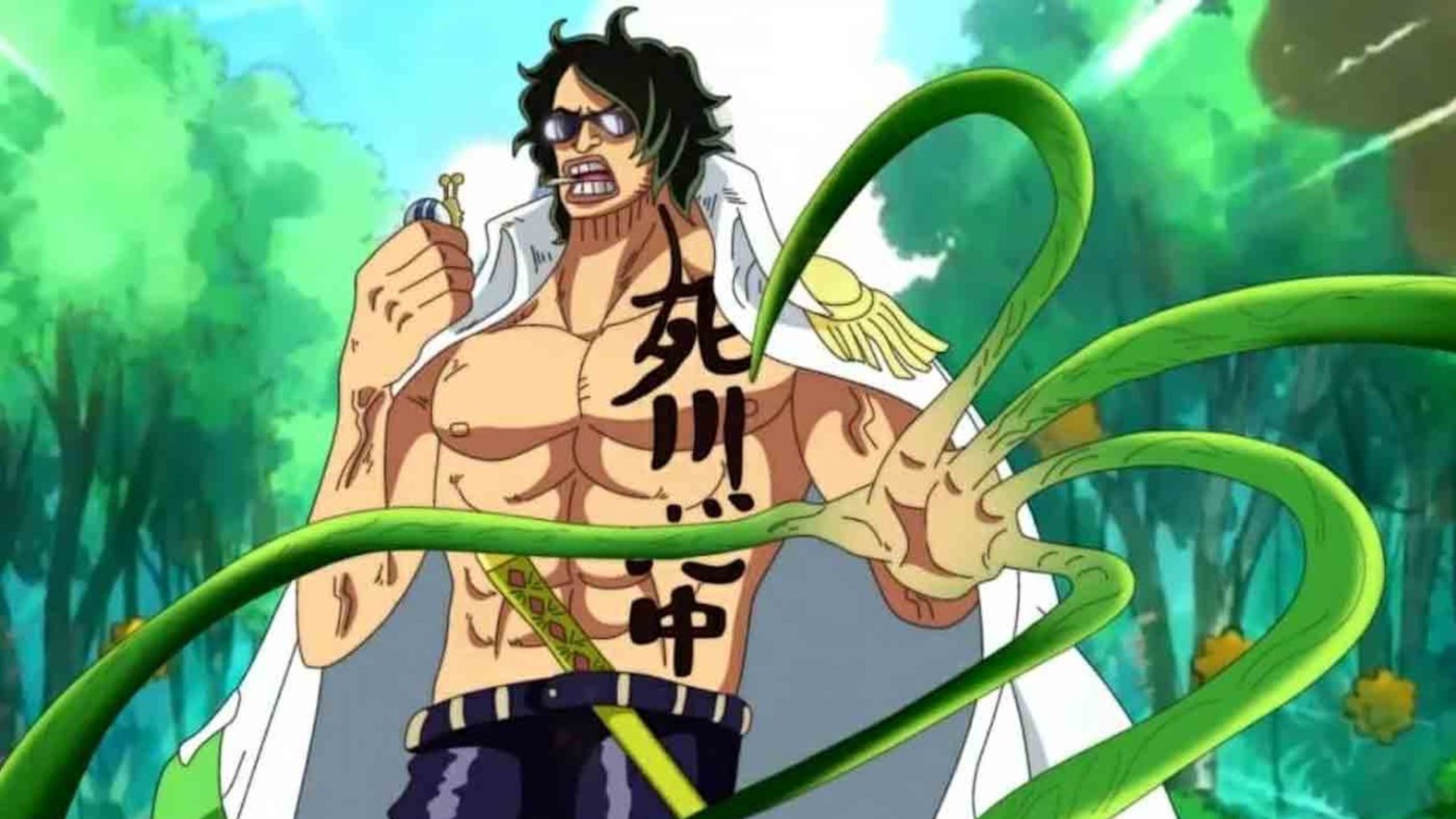 All Secrets Revealed In The September 2024 One Piece Vivre Card Update