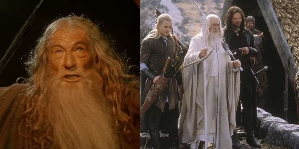 The Lord of the Rings The Fellowship of the Ring 