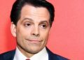 Anthony Scaramucci (Credit: Pinterest)