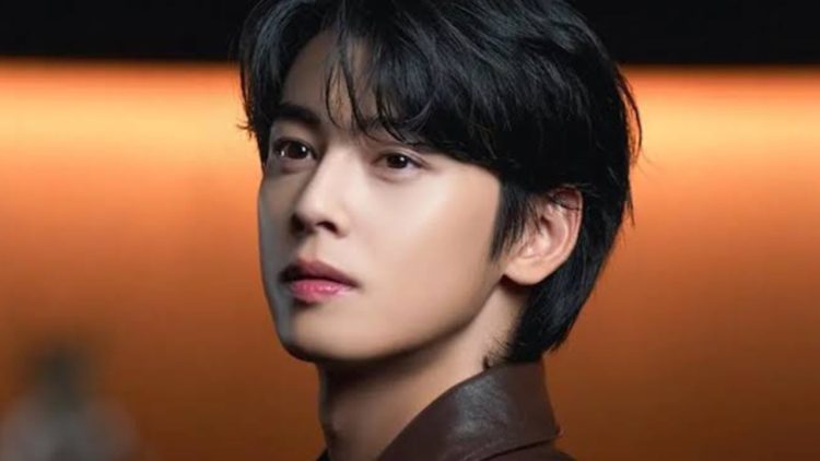 Cha Eun Woo (Credit: X)