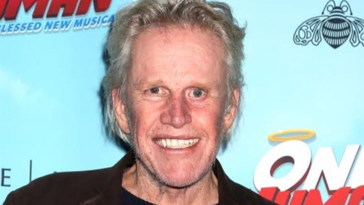 Gary Busey (Credit: Pinterest)