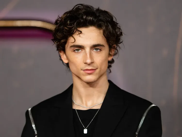 Timothée Chalamet (Image via Getty)