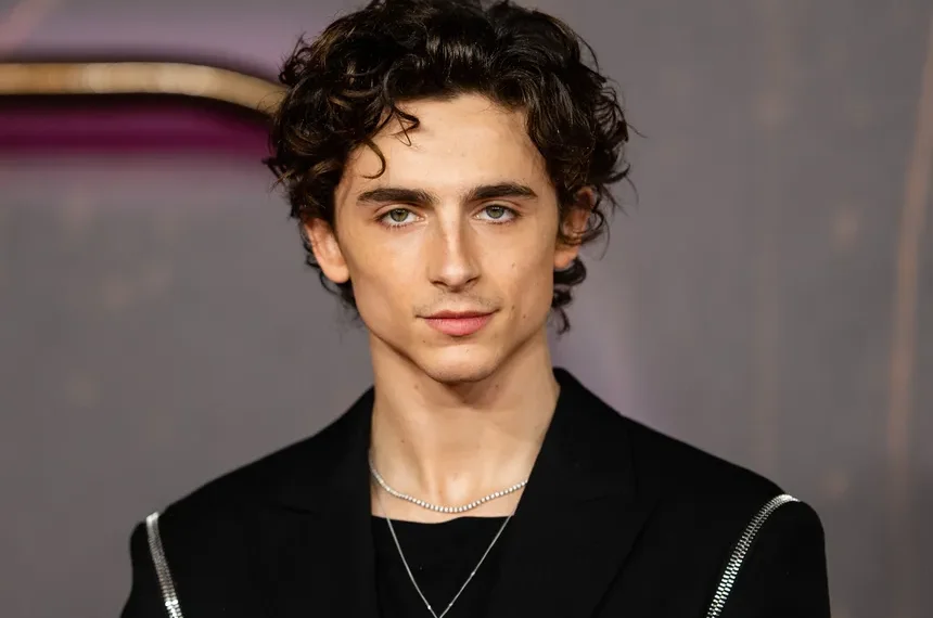 Timothée Chalamet (Image via Getty)