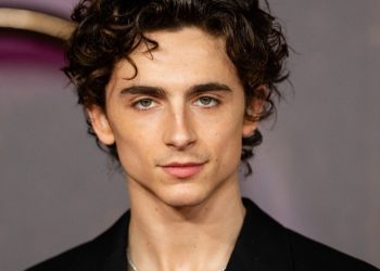 Timothee Chalamet (Credit: X)